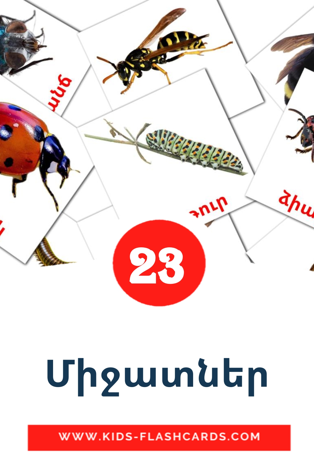 23 Միջատներ Picture Cards for Kindergarden in armenian
