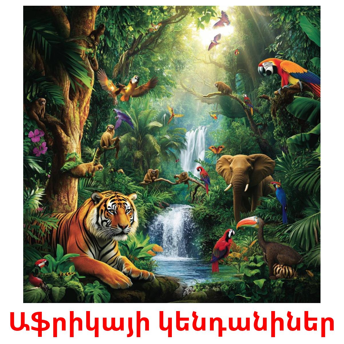 Աֆրիկայի կենդանիներ picture flashcards