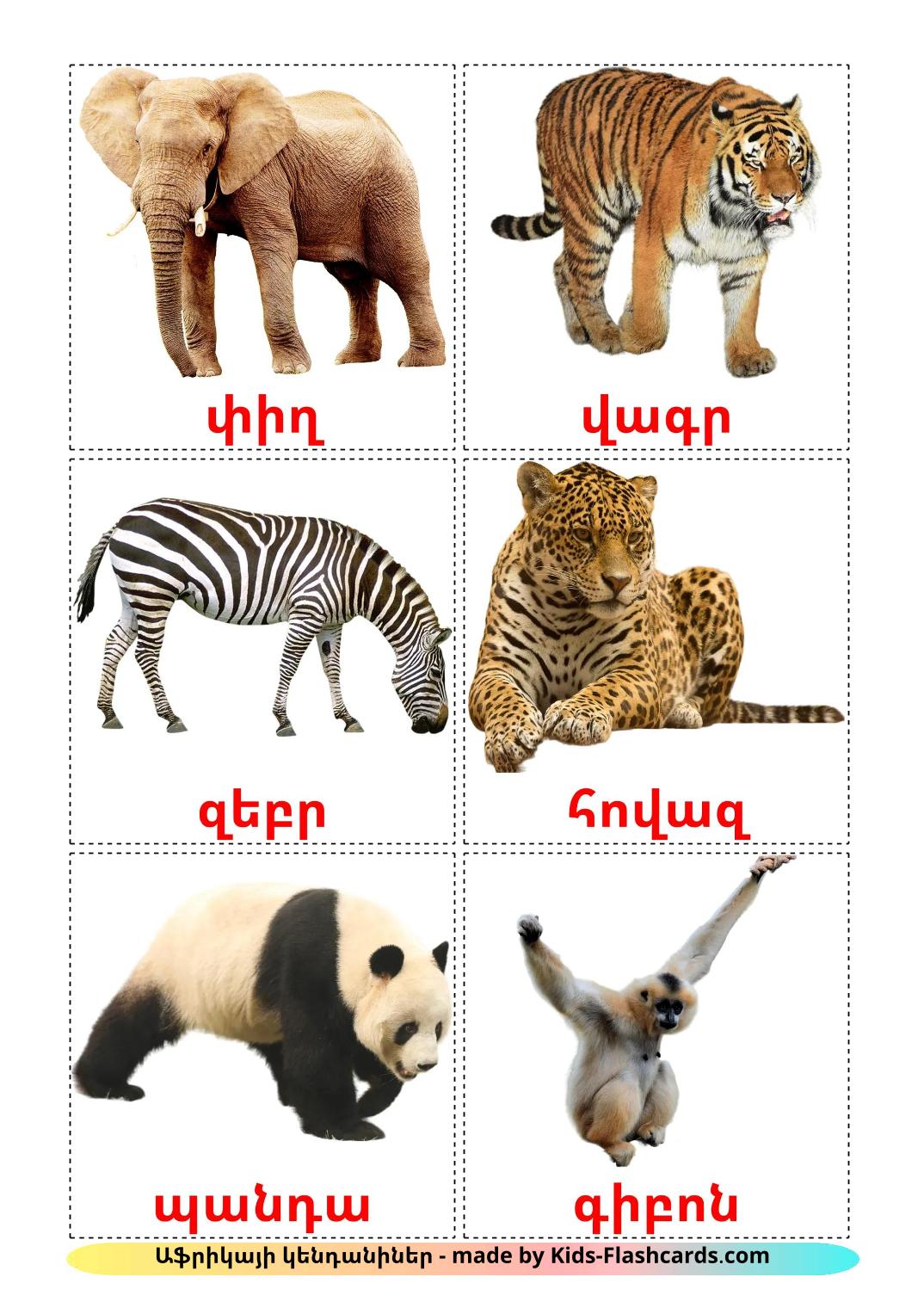 Jungle animals - 22 Free Printable armenian Flashcards 