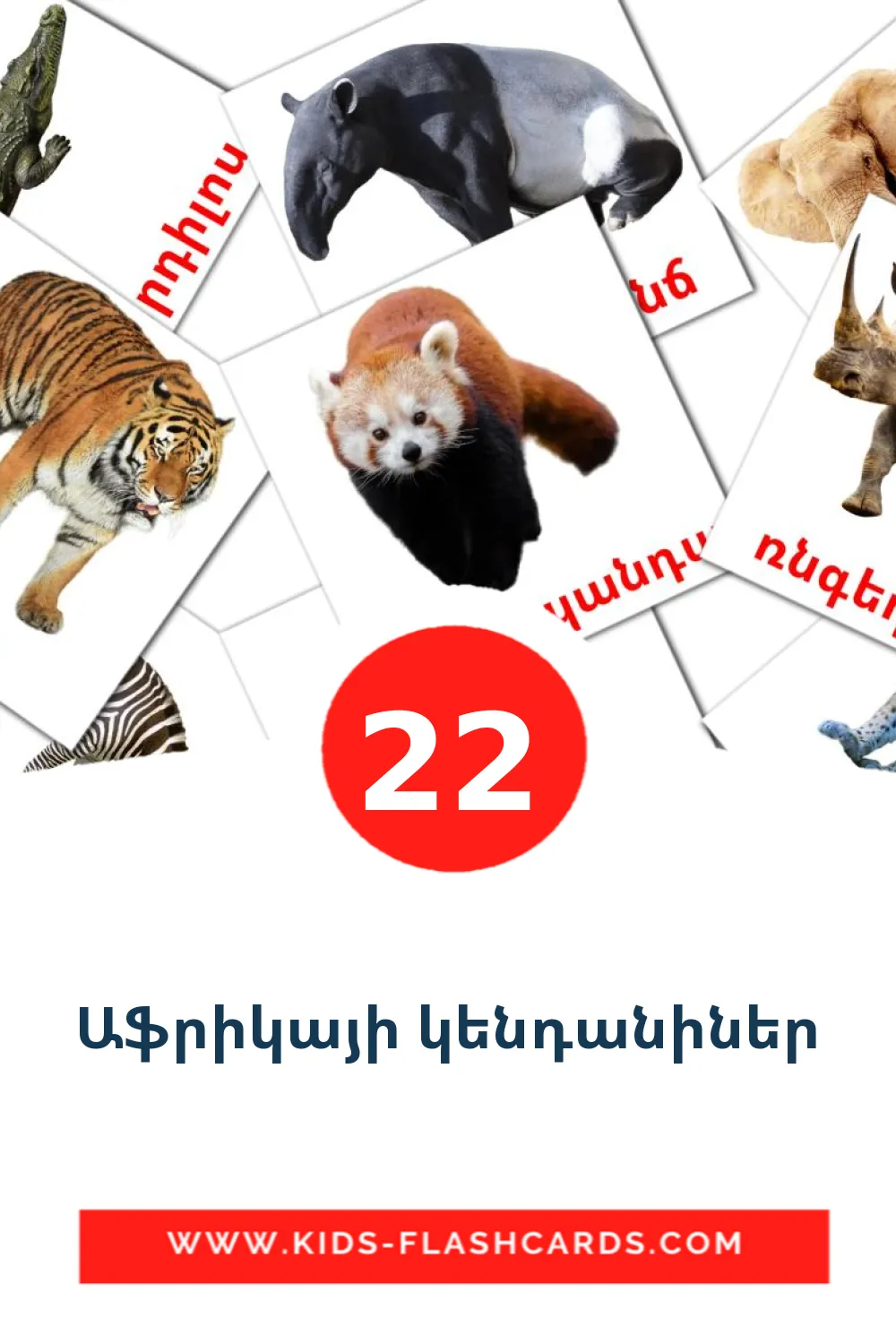 22 Աֆրիկայի կենդանիներ Picture Cards for Kindergarden in armenian