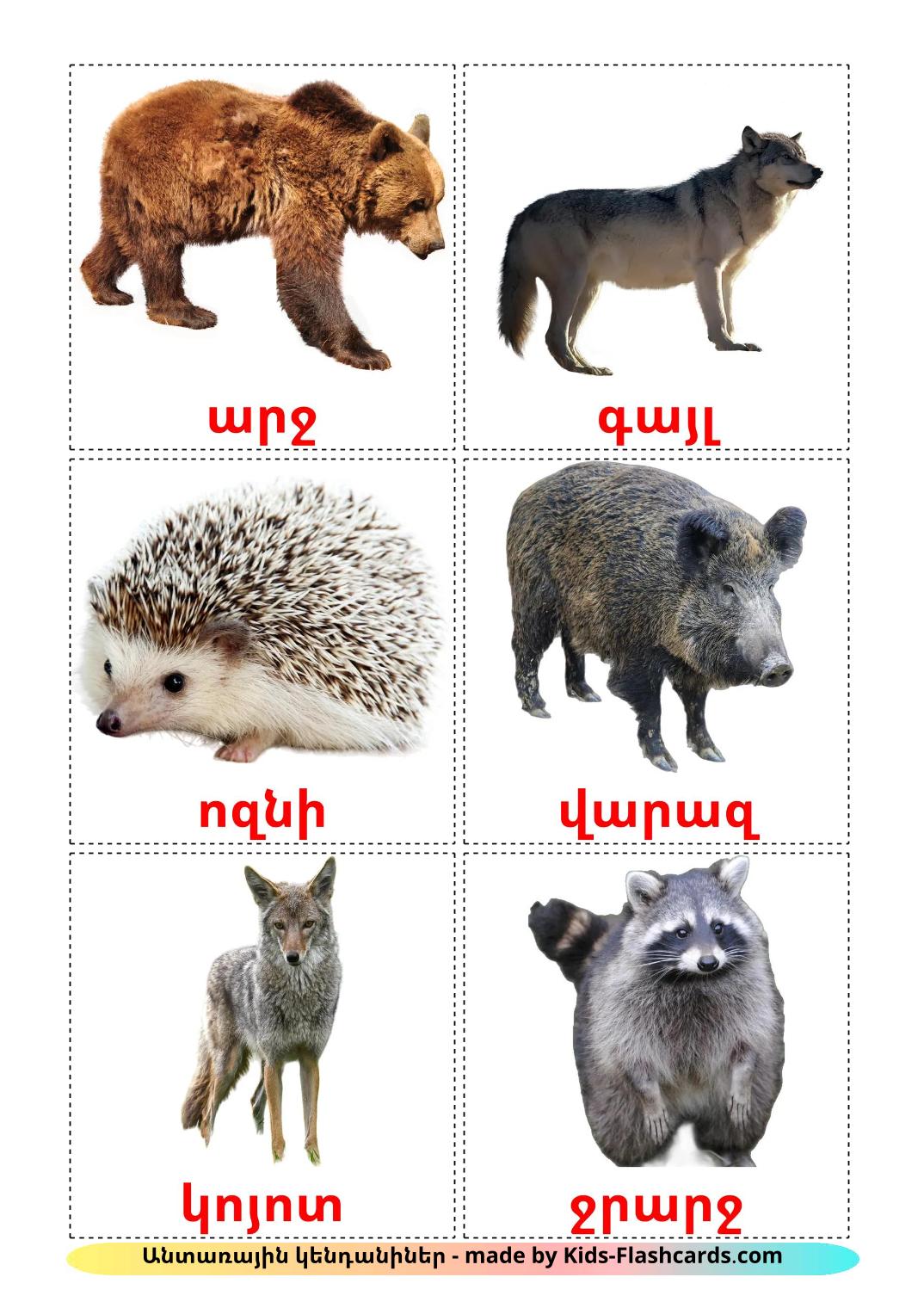 Forest animals - 23 Free Printable armenian Flashcards 