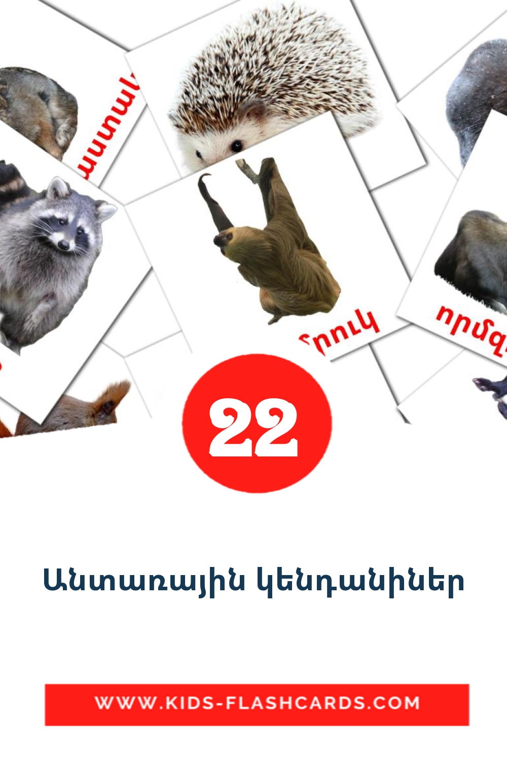 22 Անտառային կենդանիներ Picture Cards for Kindergarden in armenian