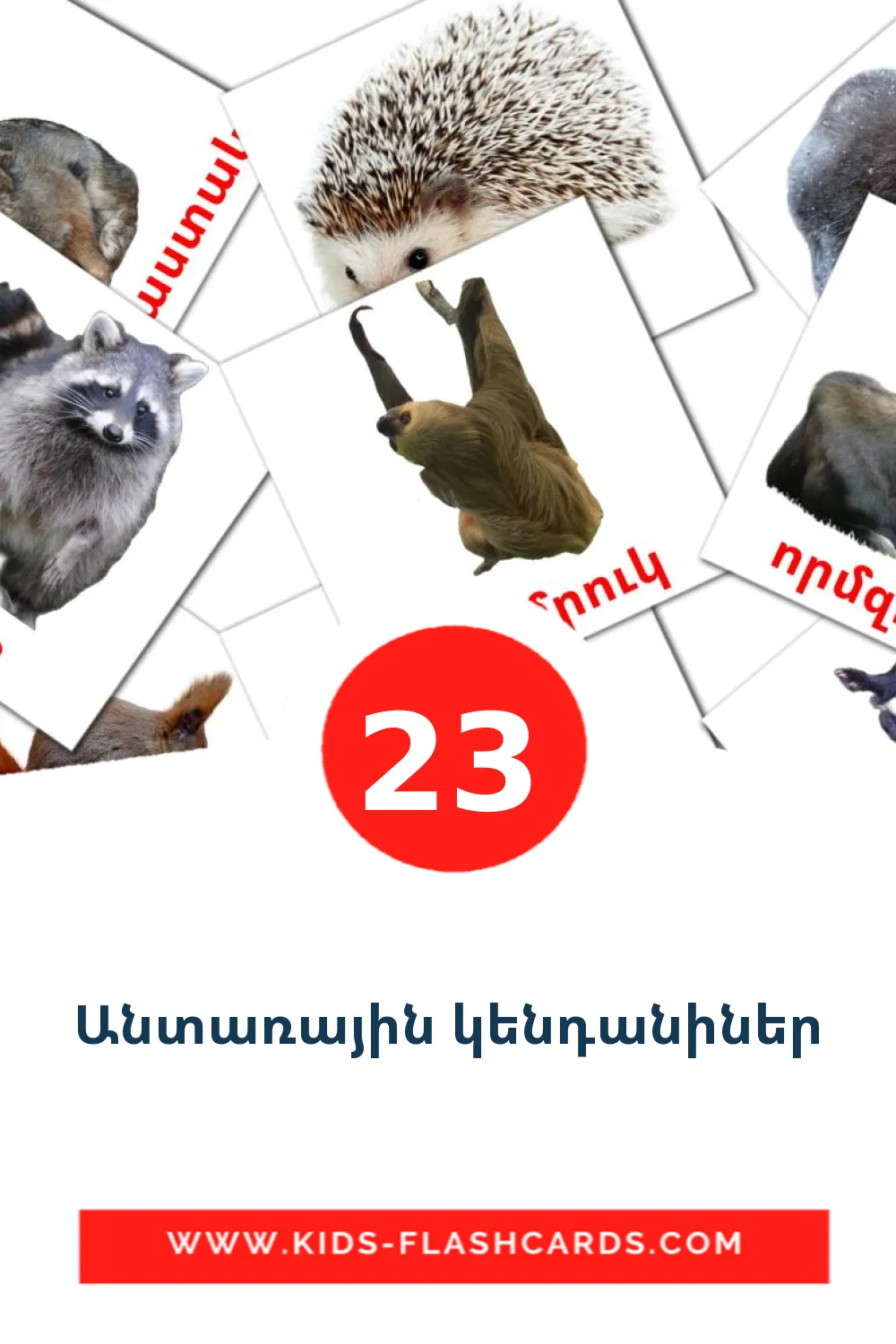 23 Անտառային կենդանիներ Picture Cards for Kindergarden in armenian