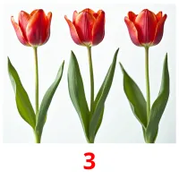 3 picture flashcards