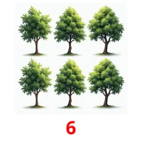 6 picture flashcards