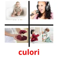 culori picture flashcards