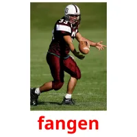 fangen picture flashcards