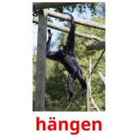 hängen picture flashcards