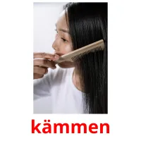 kämmen picture flashcards
