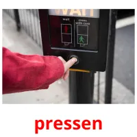 pressen picture flashcards