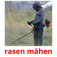 rasen mähen picture flashcards