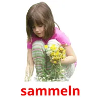 sammeln picture flashcards