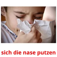 sich die nase putzen picture flashcards