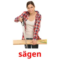 sägen picture flashcards