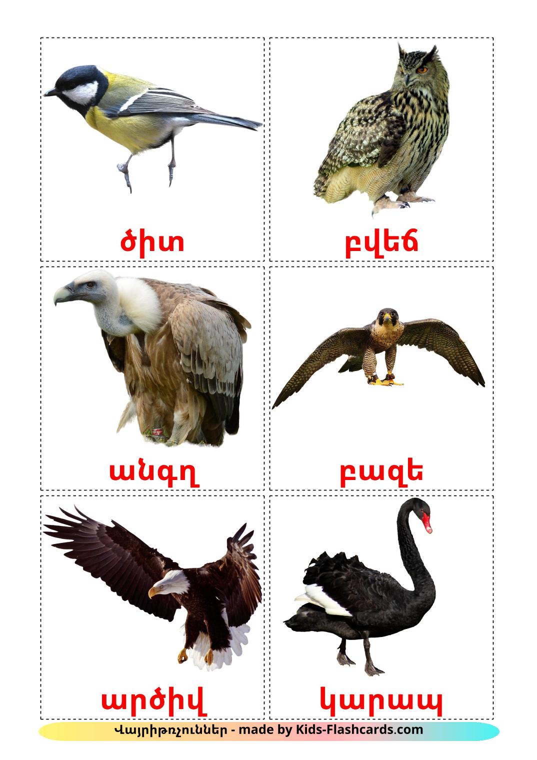 Les Oiseaux Sauvages - 18 Flashcards arménien imprimables gratuitement
