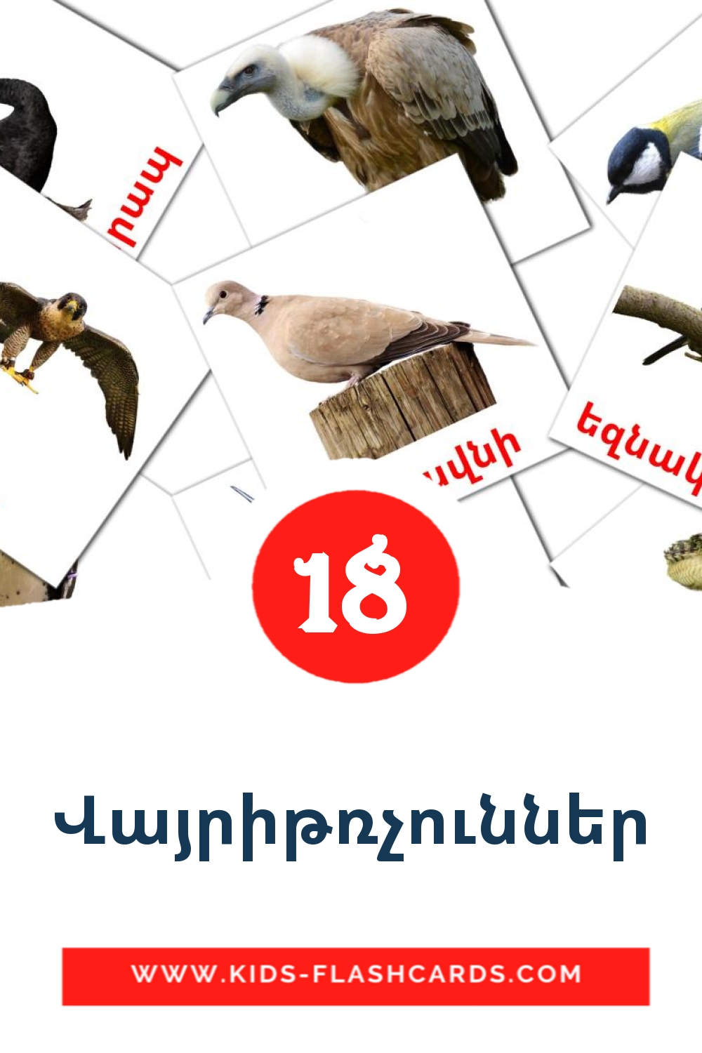 18 Վայրիթռչուններ Bildkarten für den Kindergarten auf Armenisch