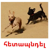 հետապնդել Bildkarten für Kinder