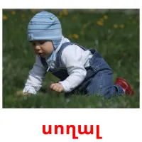 սողալ Bildkarten für Kinder