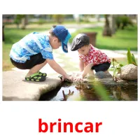 brincar picture flashcards