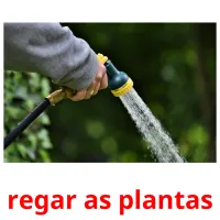 regar as plantas picture flashcards