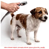 take a shower-tcajvel, cyncough yndunel- ցնցուղ ընդունել , ցայվել picture flashcards
