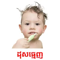 ដុសធ្មេញ​ picture flashcards