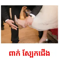 ពាក់​ ស្បែកជេីង picture flashcards