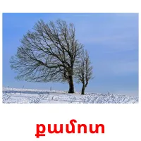 քամոտ Bildkarteikarten