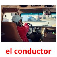 el conductor Bildkarteikarten