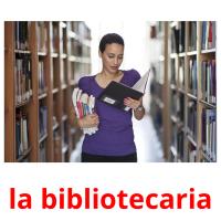 la bibliotecaria Bildkarteikarten