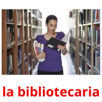 la bibliotecaria flashcards illustrate