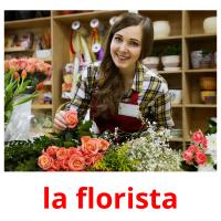 la florista Bildkarteikarten