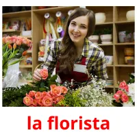 la florista flashcards illustrate