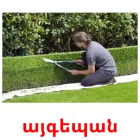այգեպան cartes flash