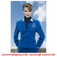 բորտուղեկցորդուհի, օդանավի սպասուհի cartes flash