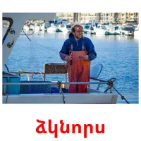 ձկնորս cartes flash