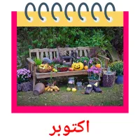 اكتوبر flashcards illustrate
