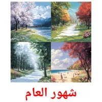 شهور العام flashcards illustrate
