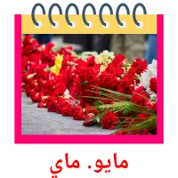 مايو. ماي flashcards illustrate
