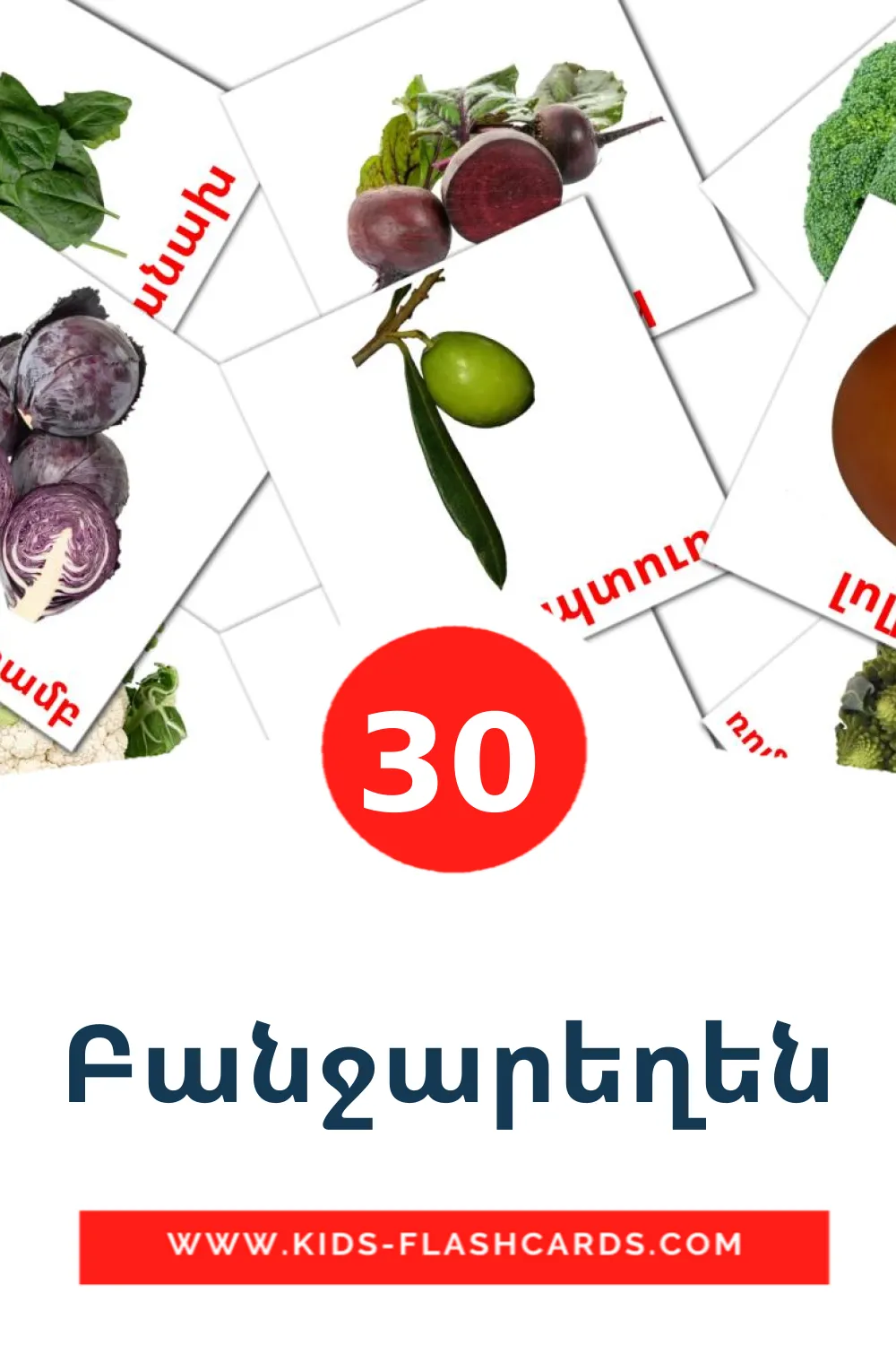 30 Բանջարեղեն Bildkarten für den Kindergarten auf Armenisch