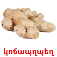 կոճապղպեղ Bildkarteikarten