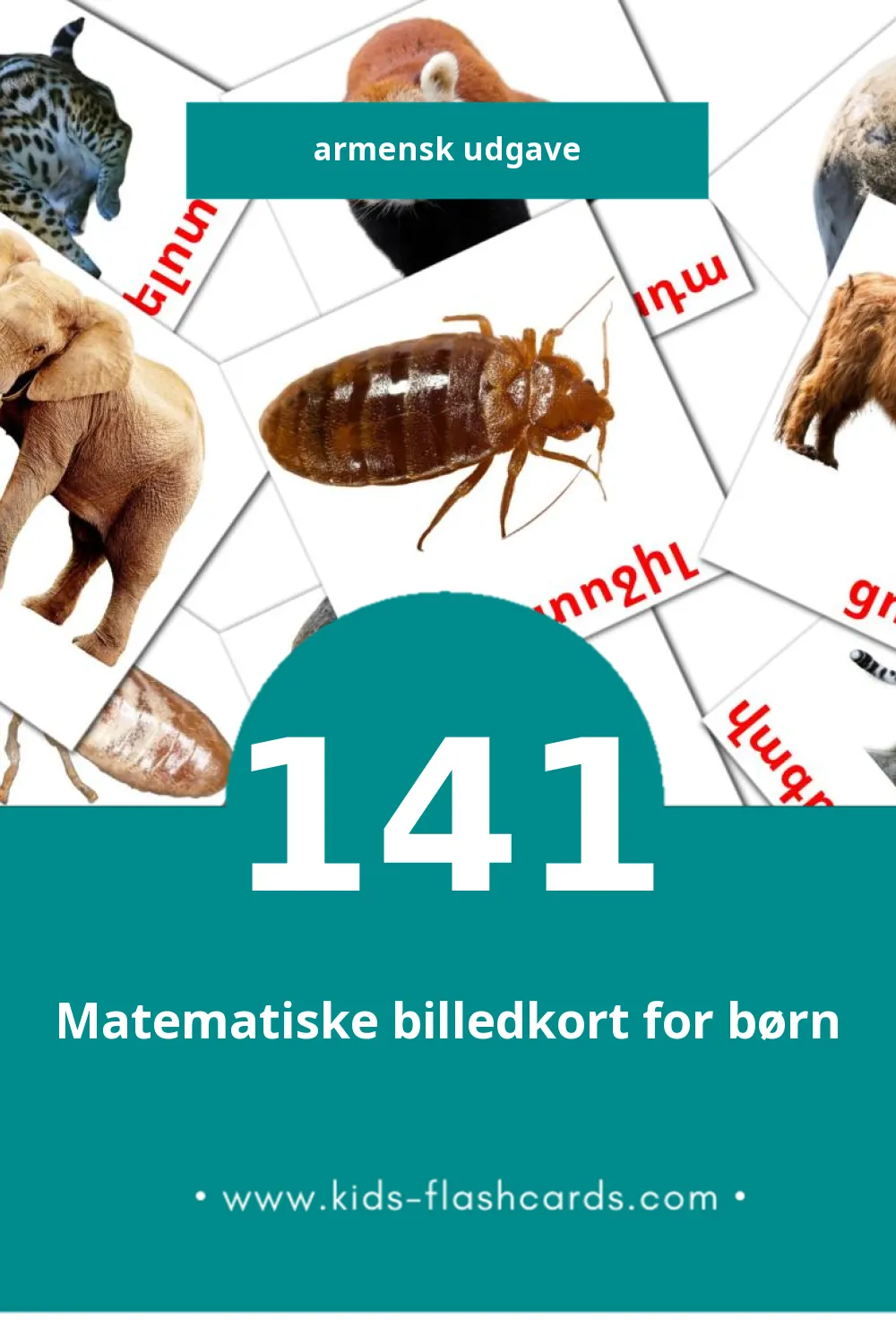 Visuelle billedkort for børn om Կենդանիներ til småbørn (141 kort på Armensk)