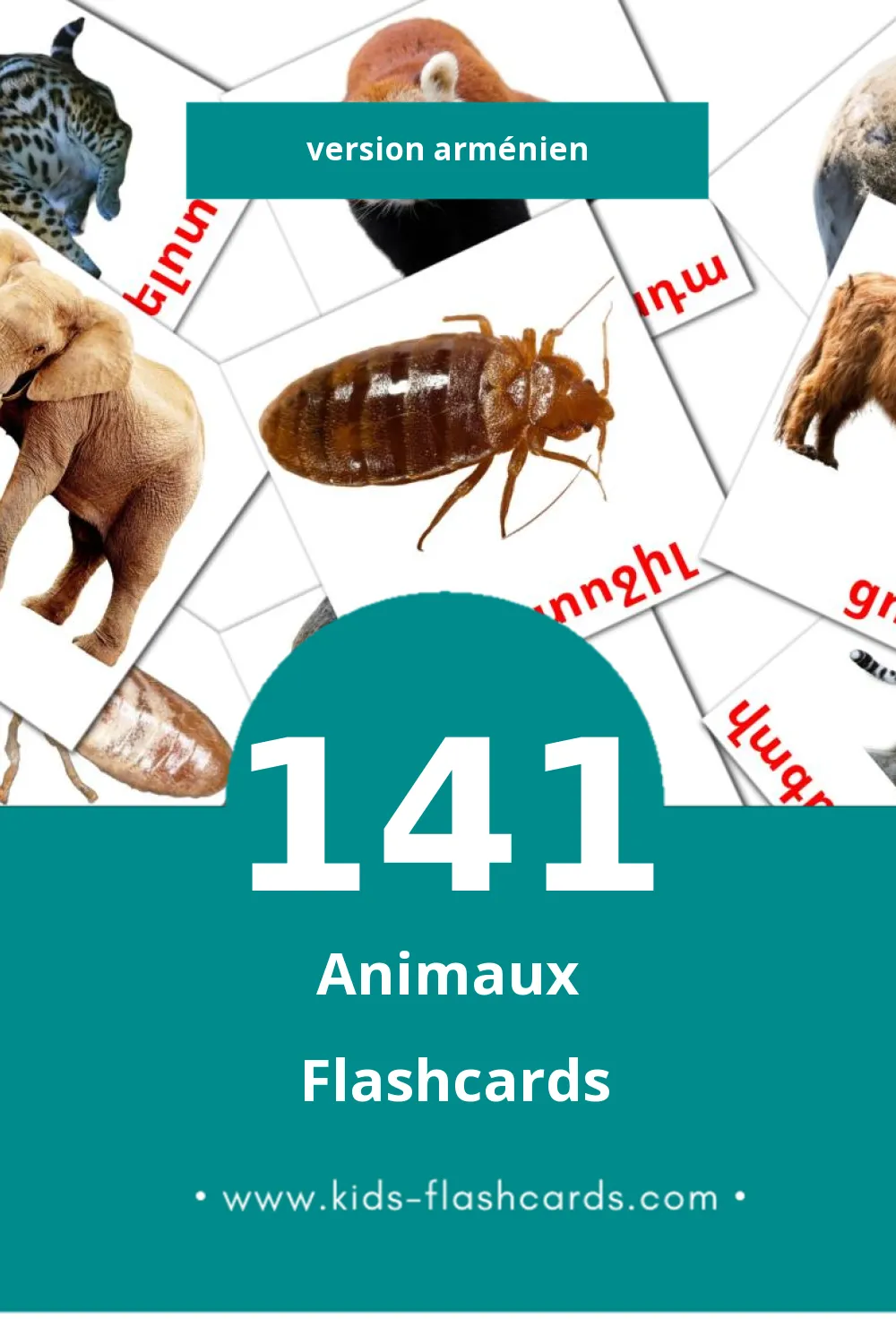 Flashcards Visual Կենդանիներ pour les tout-petits (141 cartes en Arménien)