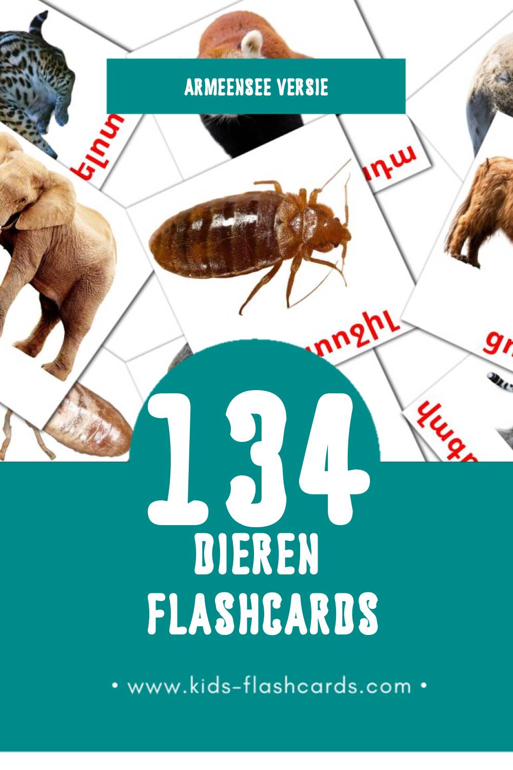 Visuele Կենդանիներ Flashcards voor Kleuters (134 kaarten in het Armeense)