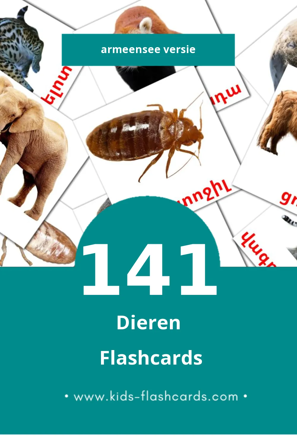 Visuele Կենդանիներ Flashcards voor Kleuters (141 kaarten in het Armeense)