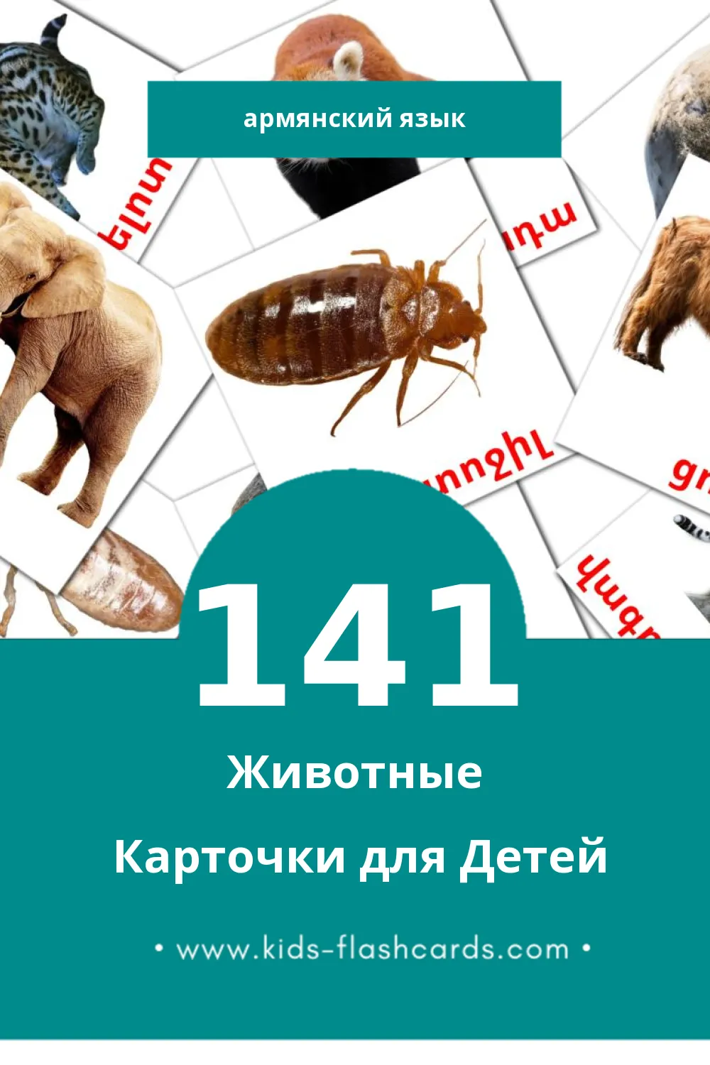 "Կենդանիներ" - Визуальный Армянском Словарь для Малышей (141 картинок)