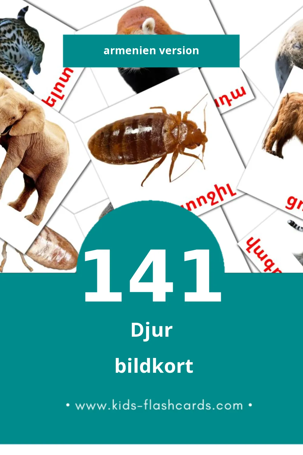 Visuele Կենդանիներ Leerkaarten voor Kleuters (141 kaarten in het Armenien)