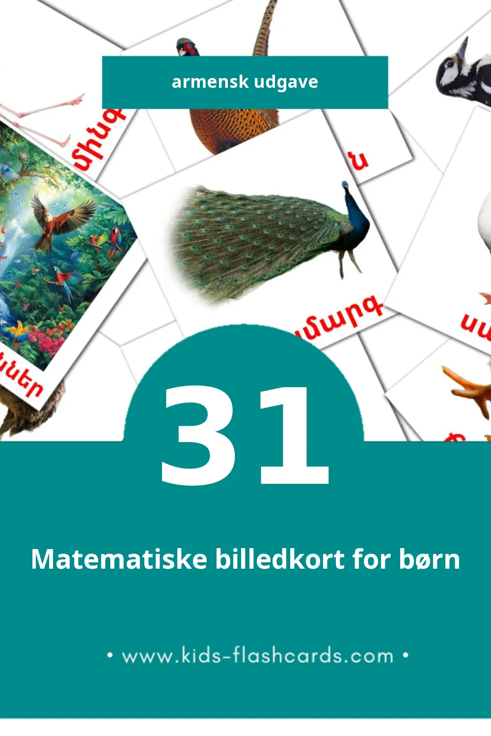 Visuelle billedkort for børn om Թռչուններ til småbørn (31 kort på Armensk)