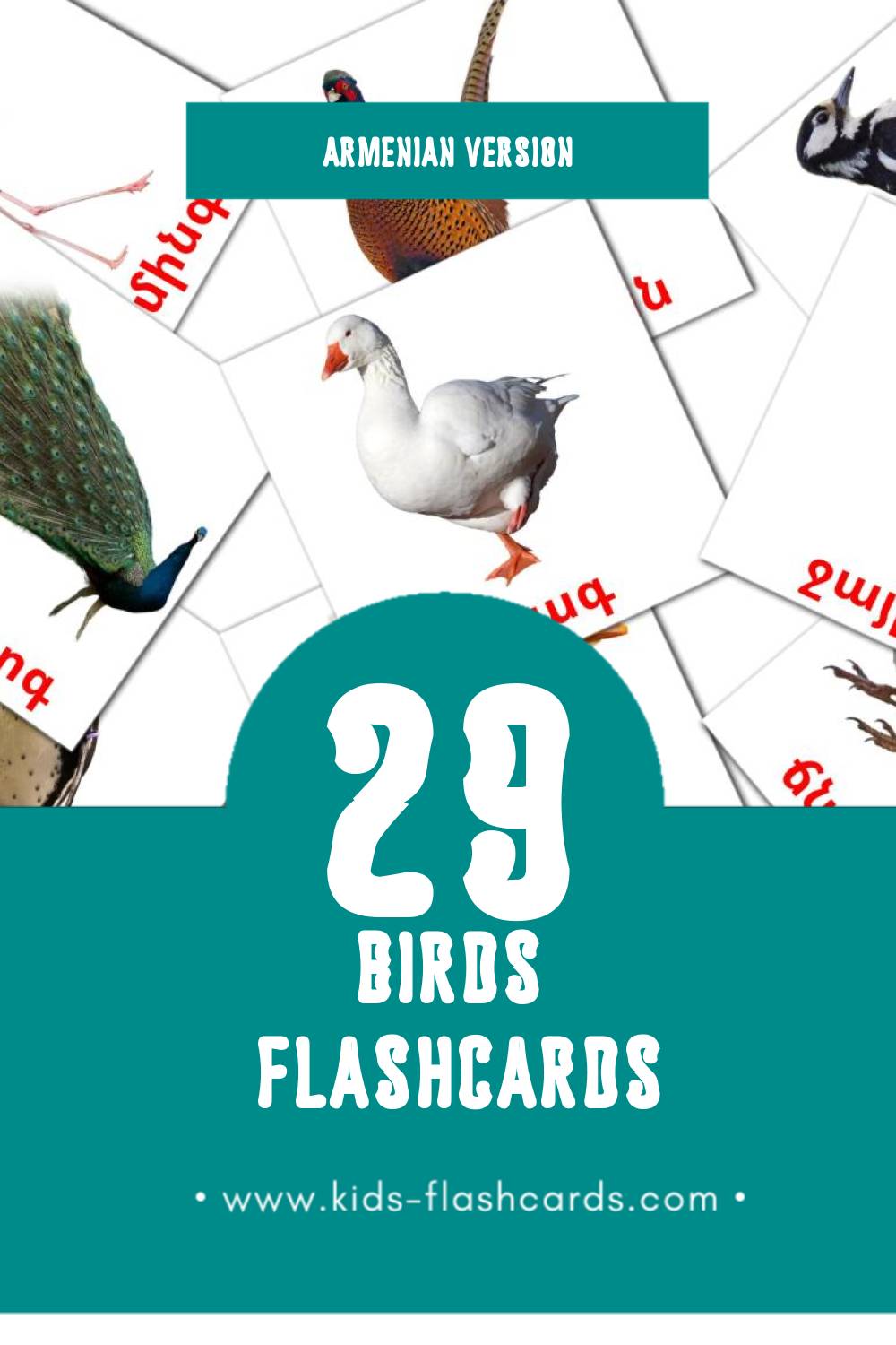 Visual Թռչուններ Flashcards for Toddlers (29 cards in Armenian)