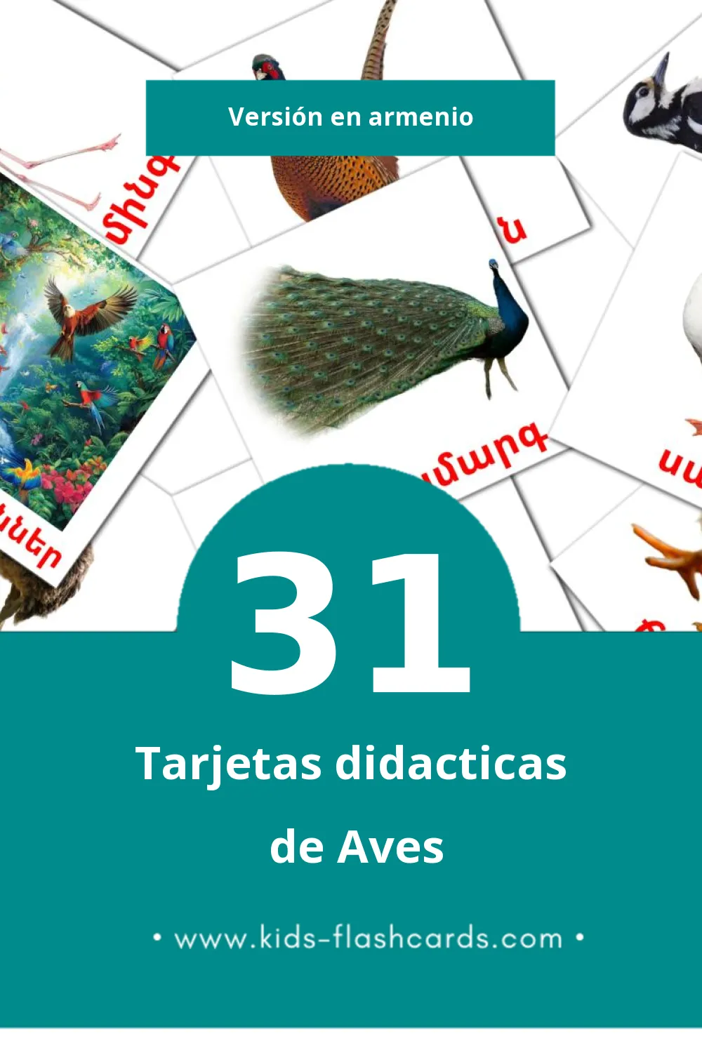 Tarjetas visuales de Թռչուններ para niños pequeños (31 tarjetas en Armenio)